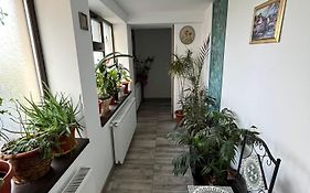 Solaria Studio